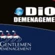 DIOT DEMENAGEMENTS
